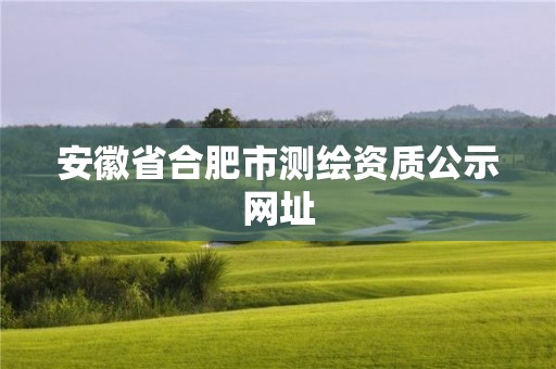 安徽省合肥市測繪資質(zhì)公示網(wǎng)址