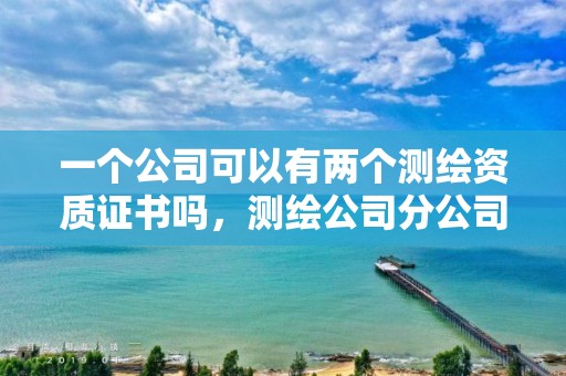 一個公司可以有兩個測繪資質證書嗎，測繪公司分公司人員要求