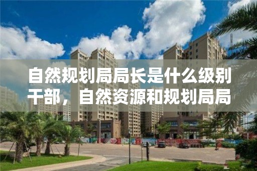 自然規劃局局長是什么級別干部，自然資源和規劃局局長什么級別