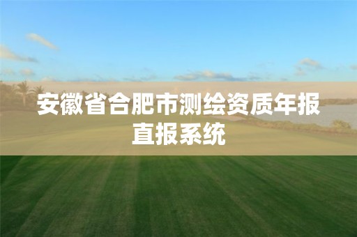 安徽省合肥市測(cè)繪資質(zhì)年報(bào)直報(bào)系統(tǒng)