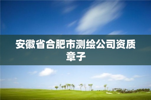 安徽省合肥市測繪公司資質章子