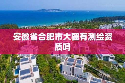 安徽省合肥市大疆有測繪資質(zhì)嗎