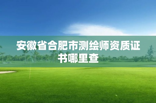 安徽省合肥市測繪師資質證書哪里查