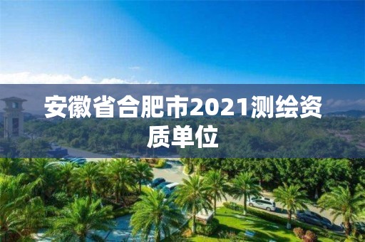 安徽省合肥市2021測繪資質單位