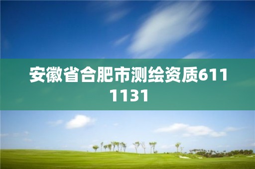 安徽省合肥市測繪資質6111131