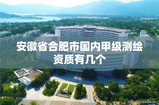 安徽省合肥市國內甲級測繪資質有幾個