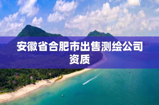 安徽省合肥市出售測繪公司資質(zhì)