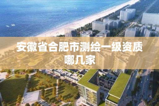 安徽省合肥市測繪一級資質哪幾家