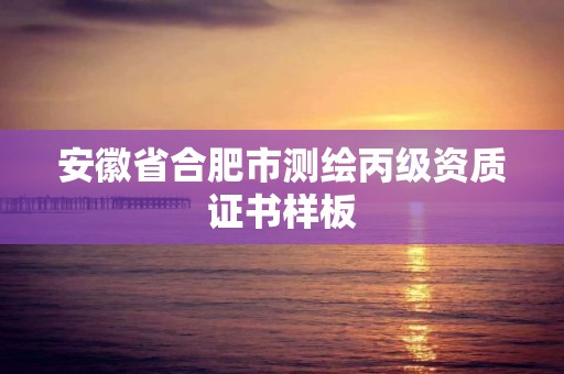 安徽省合肥市測繪丙級資質證書樣板