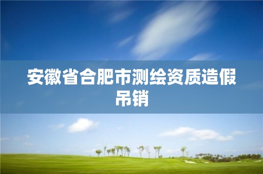 安徽省合肥市測繪資質造假吊銷