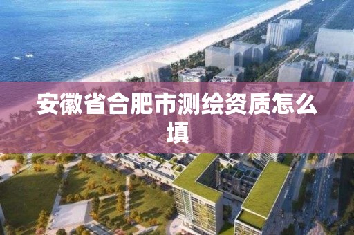 安徽省合肥市測繪資質怎么填