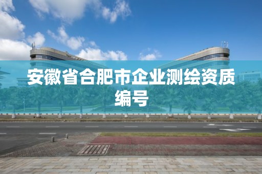 安徽省合肥市企業測繪資質編號