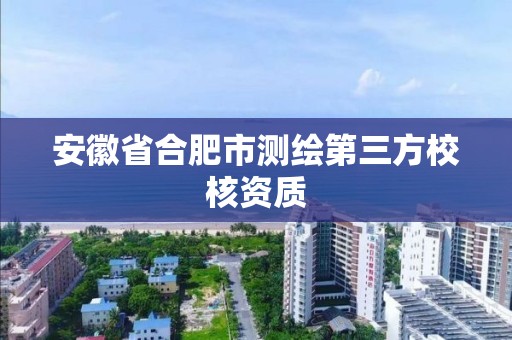 安徽省合肥市測繪第三方校核資質