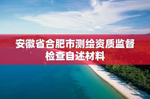 安徽省合肥市測(cè)繪資質(zhì)監(jiān)督檢查自述材料