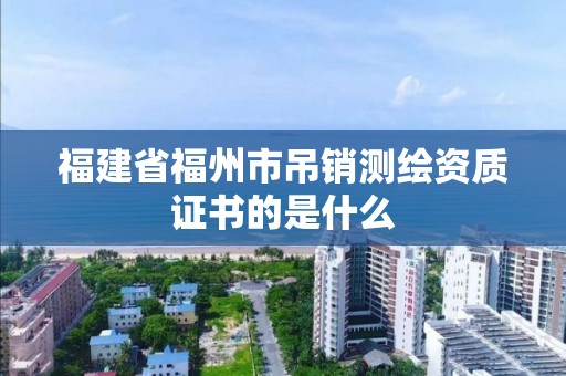 福建省福州市吊銷測繪資質證書的是什么