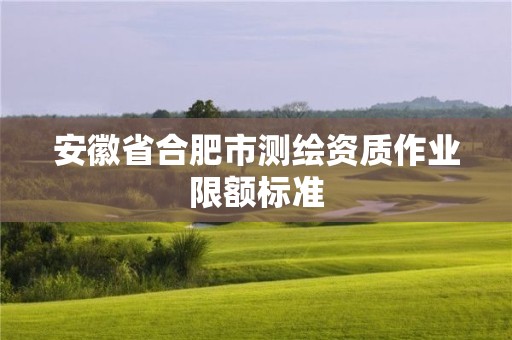 安徽省合肥市測(cè)繪資質(zhì)作業(yè)限額標(biāo)準(zhǔn)