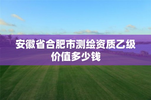 安徽省合肥市測繪資質乙級價值多少錢