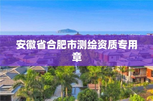 安徽省合肥市測繪資質(zhì)專用章