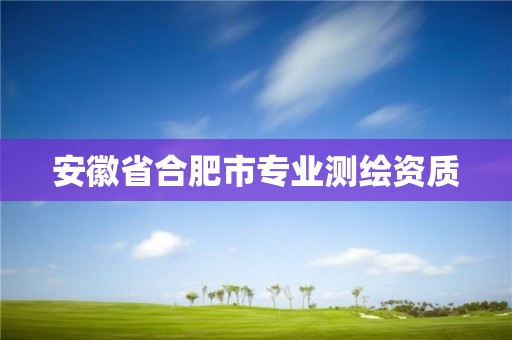 安徽省合肥市專業(yè)測繪資質(zhì)