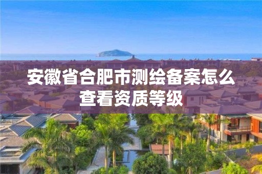 安徽省合肥市測繪備案怎么查看資質等級