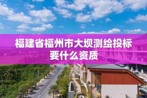 福建省福州市大壩測繪投標(biāo)要什么資質(zhì)