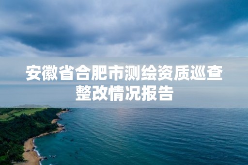 安徽省合肥市測繪資質巡查整改情況報告