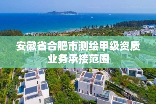 安徽省合肥市測繪甲級資質(zhì)業(yè)務(wù)承接范圍