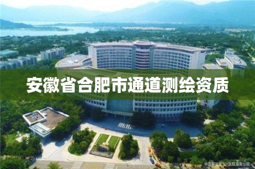 安徽省合肥市通道測繪資質