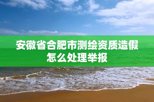 安徽省合肥市測繪資質造假怎么處理舉報