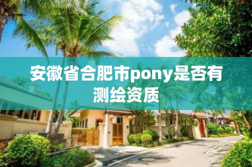 安徽省合肥市pony是否有測繪資質(zhì)