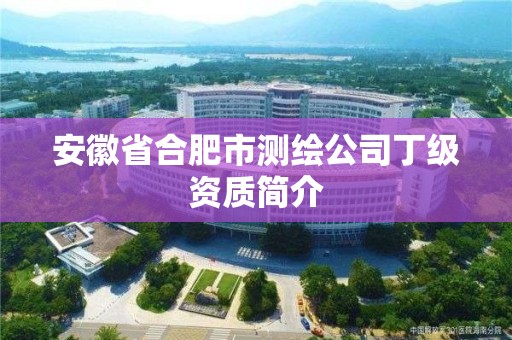 安徽省合肥市測(cè)繪公司丁級(jí)資質(zhì)簡(jiǎn)介