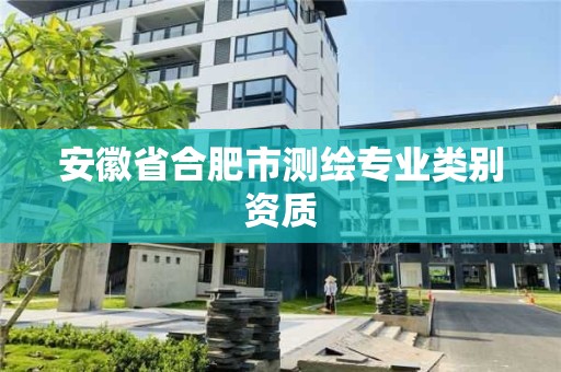 安徽省合肥市測繪專業(yè)類別資質(zhì)