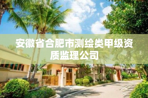 安徽省合肥市測繪類甲級資質監理公司