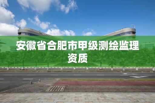 安徽省合肥市甲級(jí)測(cè)繪監(jiān)理資質(zhì)