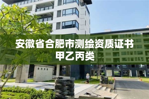 安徽省合肥市測繪資質證書甲乙丙類