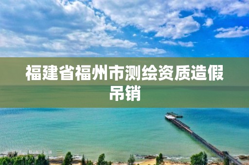 福建省福州市測繪資質造假吊銷