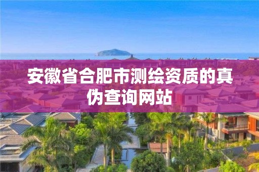 安徽省合肥市測繪資質的真偽查詢網站