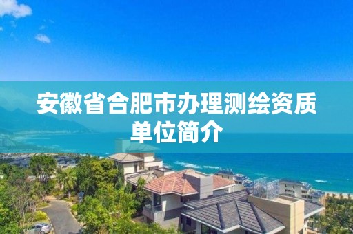 安徽省合肥市辦理測繪資質單位簡介