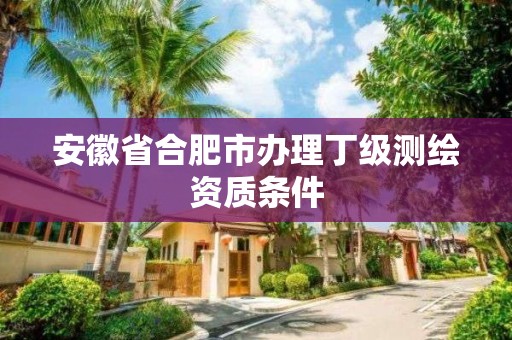 安徽省合肥市辦理丁級測繪資質(zhì)條件