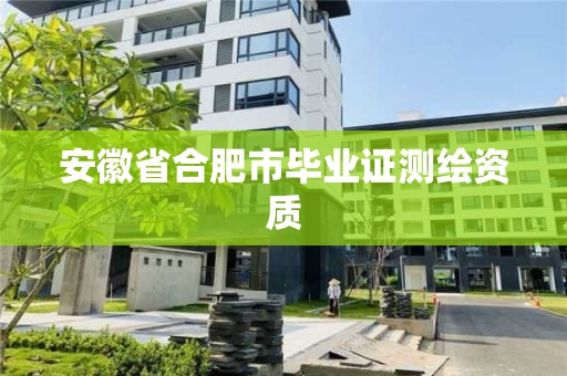 安徽省合肥市畢業(yè)證測(cè)繪資質(zhì)