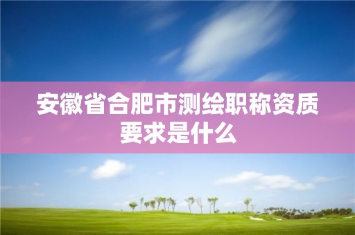 安徽省合肥市測繪職稱資質(zhì)要求是什么