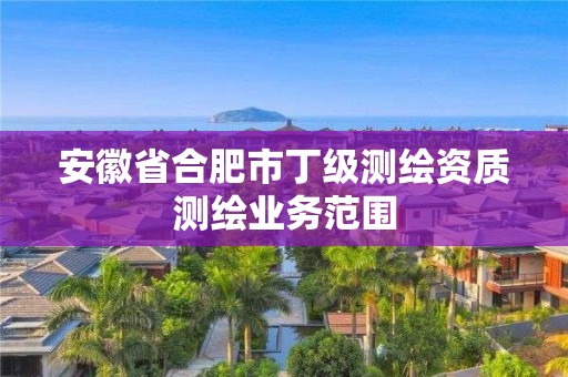 安徽省合肥市丁級測繪資質測繪業務范圍