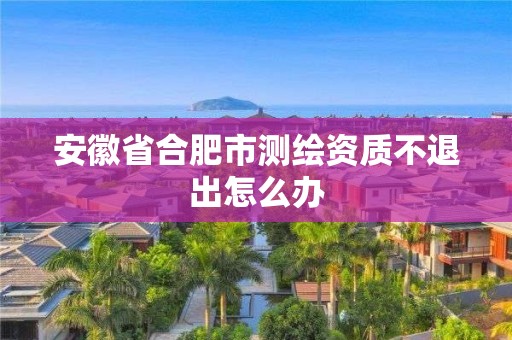 安徽省合肥市測繪資質不退出怎么辦