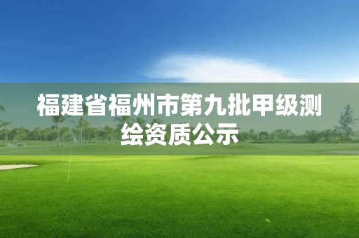 福建省福州市第九批甲級測繪資質公示