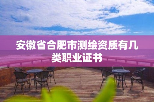 安徽省合肥市測(cè)繪資質(zhì)有幾類(lèi)職業(yè)證書(shū)