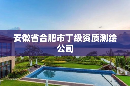 安徽省合肥市丁級資質(zhì)測繪公司