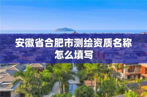 安徽省合肥市測繪資質(zhì)名稱怎么填寫