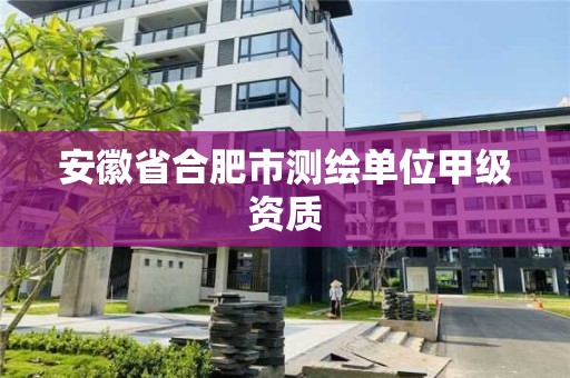 安徽省合肥市測繪單位甲級資質