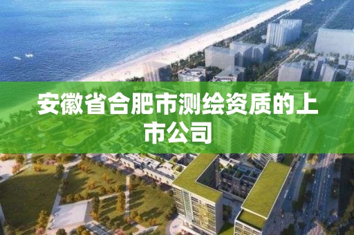 安徽省合肥市測繪資質(zhì)的上市公司