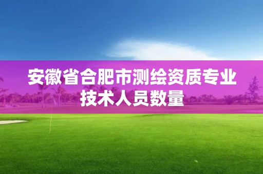 安徽省合肥市測繪資質專業技術人員數量